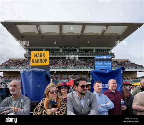 2024 Aintree Festival Friday Preview & Tips .
